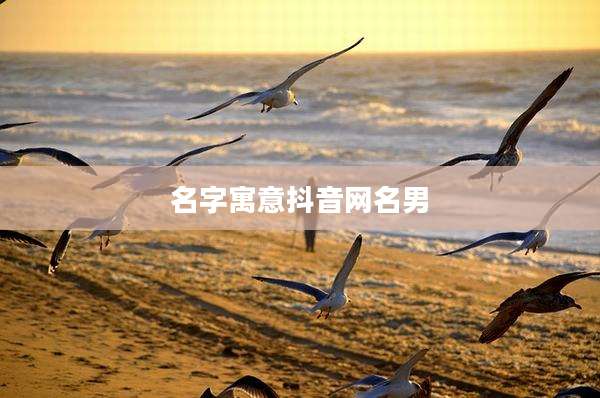 名字寓意抖音网名男