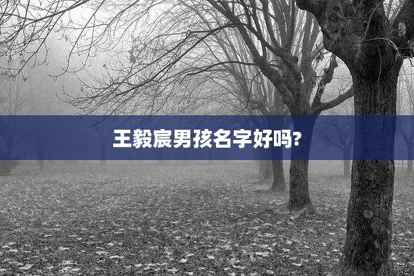 王毅宸男孩名字好吗?