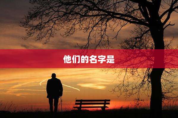他们的名字是