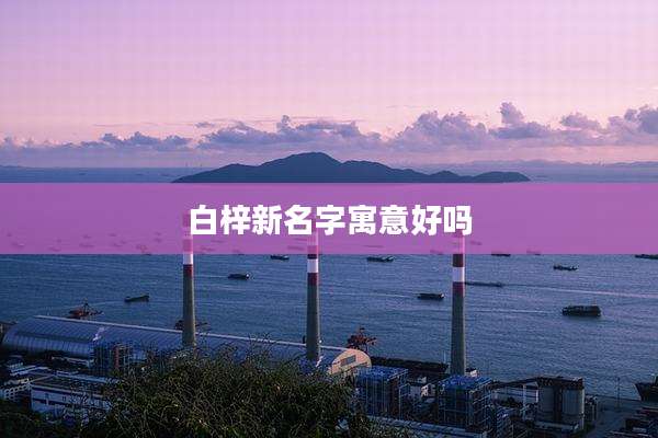 白梓新名字寓意好吗