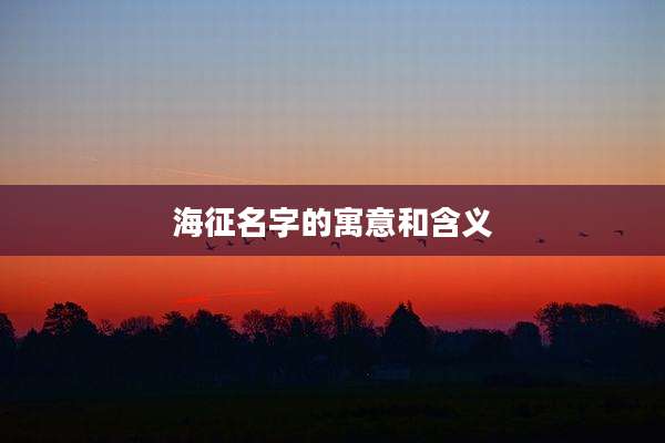 海征名字的寓意和含义