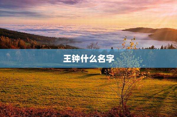 王钟什么名字