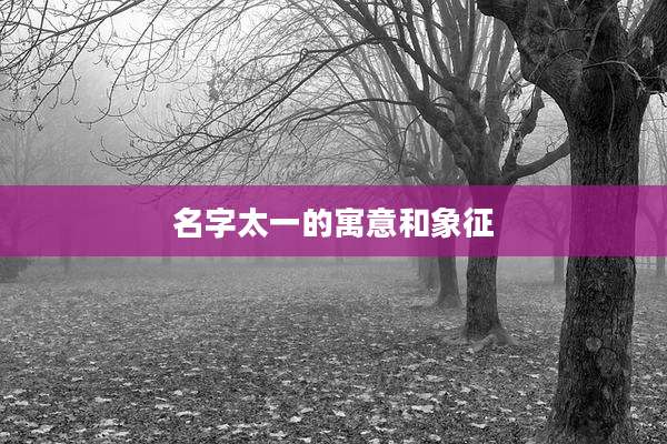 名字太一的寓意和象征