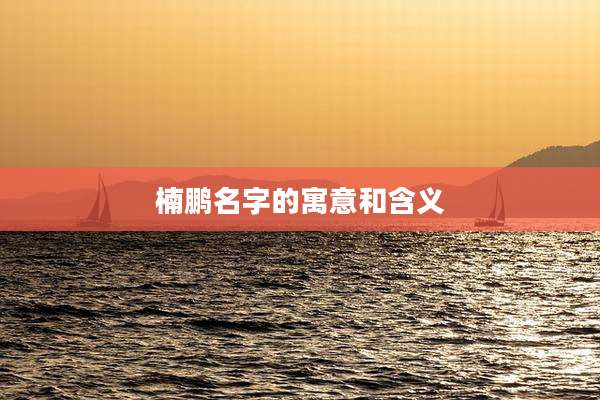 楠鹏名字的寓意和含义
