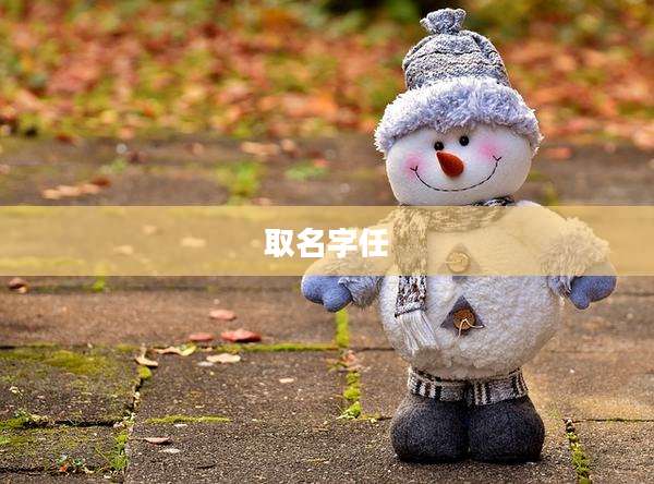 取名字任