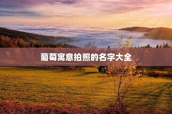 葡萄寓意拍照的名字大全