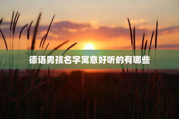 德语男孩名字寓意好听的有哪些