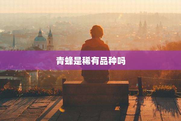 青蜂是稀有品种吗