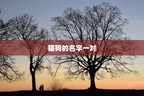 猫狗的名字一对