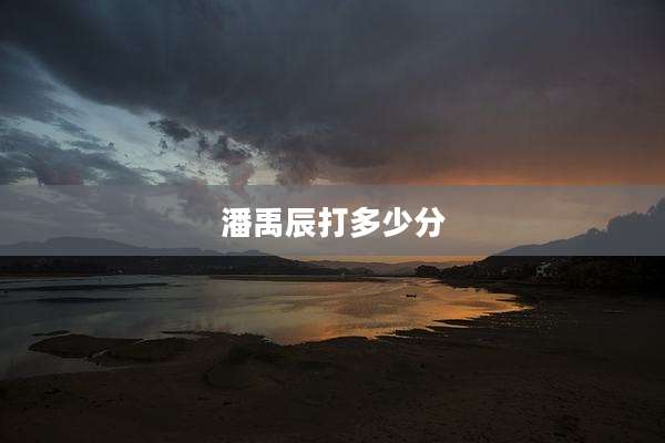 潘禹辰打多少分