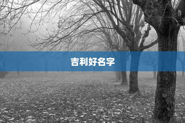 吉利好名字