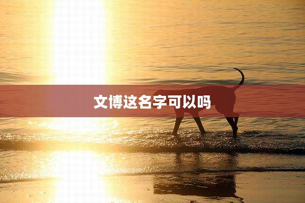 文博这名字可以吗