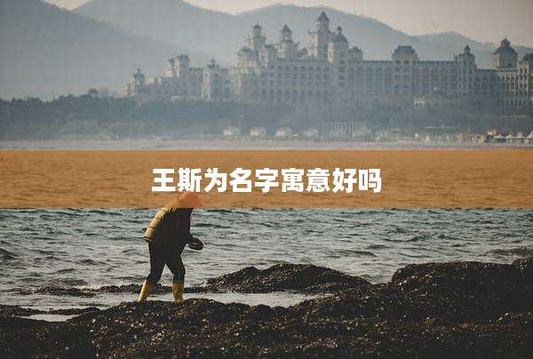 王斯为名字寓意好吗