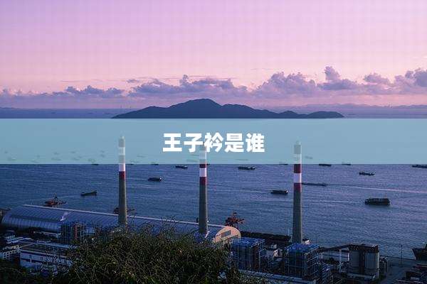 王子衿是谁