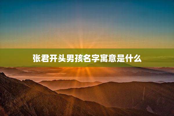 张君开头男孩名字寓意是什么