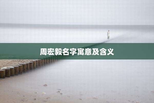 周宏毅名字寓意及含义