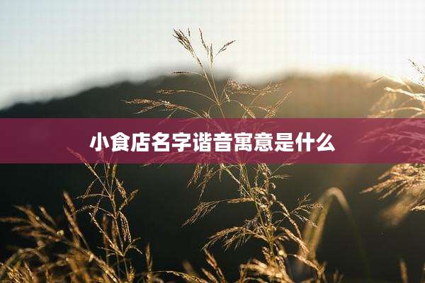 小食店名字谐音寓意是什么
