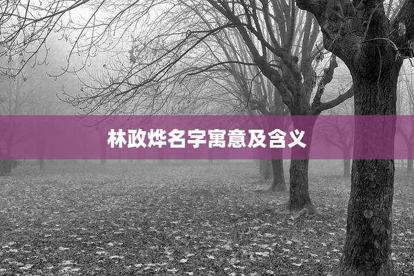 林政烨名字寓意及含义
