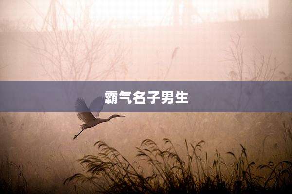 霸气名子男生