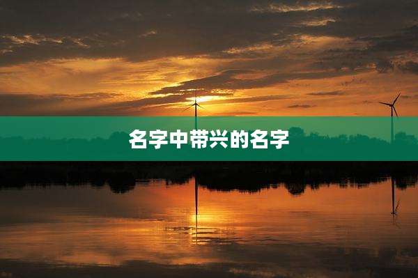 名字中带兴的名字