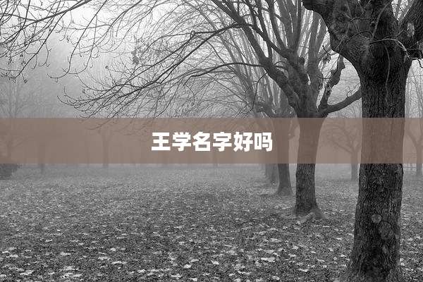 王学名字好吗