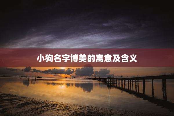 小狗名字博美的寓意及含义
