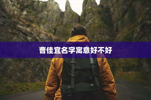 曹佳宜名字寓意好不好