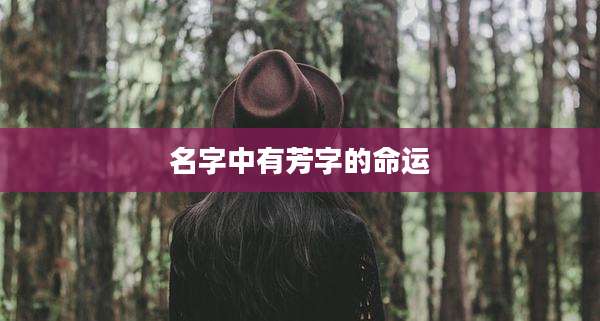 名字中有芳字的命运