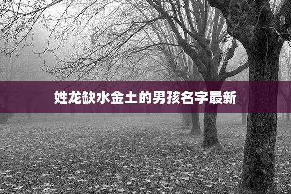 姓龙缺水金土的男孩名字最新