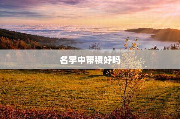 名字中带稷好吗