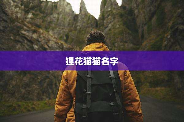 狸花猫猫名字
