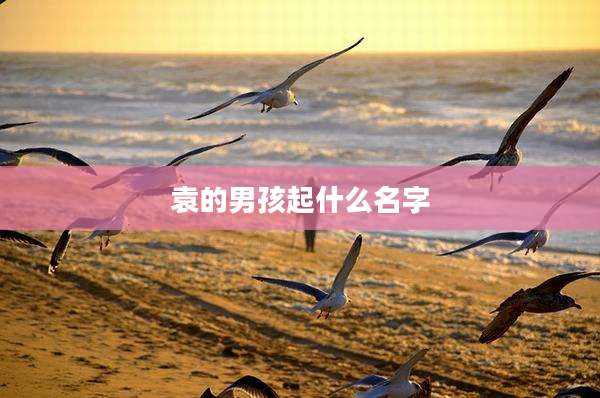 袁的男孩起什么名字