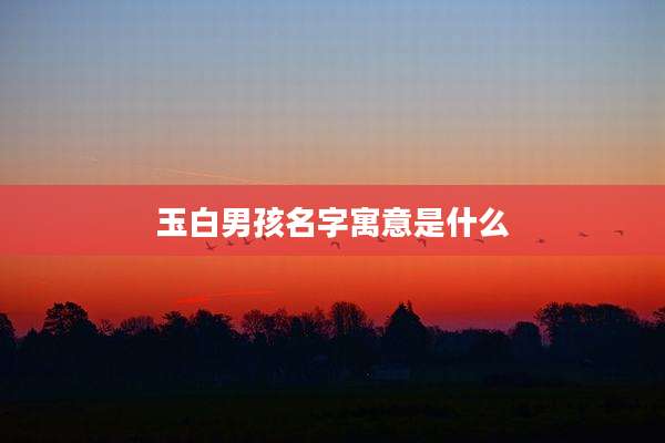 玉白男孩名字寓意是什么
