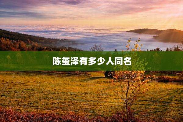 陈玺泽有多少人同名