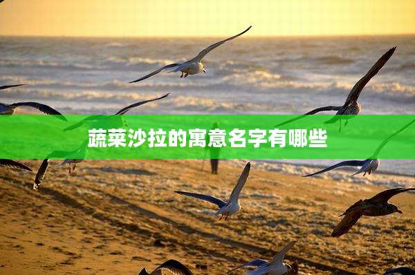 蔬菜沙拉的寓意名字有哪些