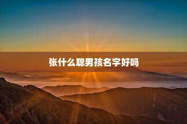 张什么聪男孩名字好吗