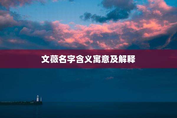 文薇名字含义寓意及解释
