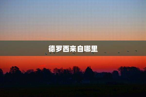 德罗西来自哪里