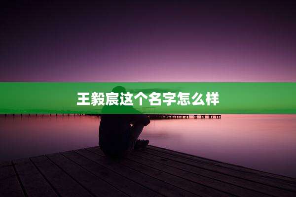 王毅宸这个名字怎么样