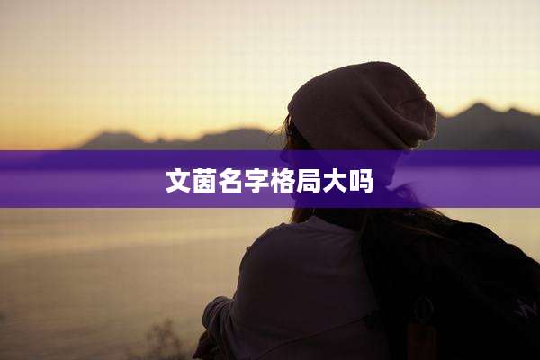 文茵名字格局大吗