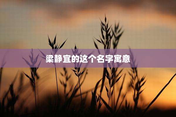 梁静宜的这个名字寓意