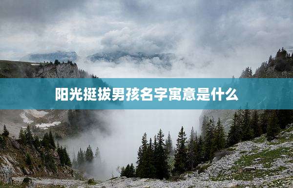 阳光挺拔男孩名字寓意是什么