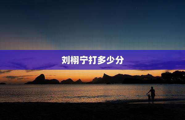 刘栩宁打多少分