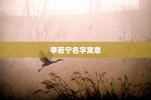 李若宁名字寓意