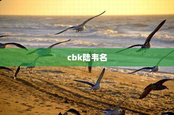 cbk陆韦名
