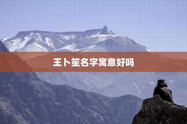 王卜笙名字寓意好吗