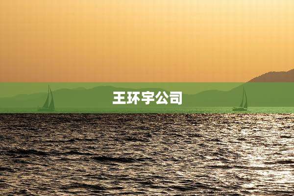 王环宇公司