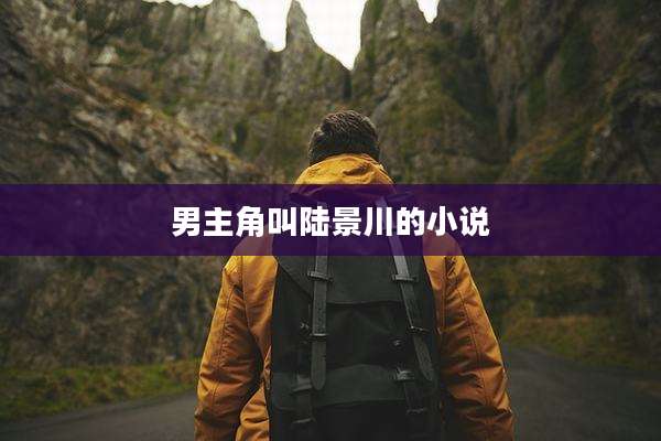 男主角叫陆景川的小说