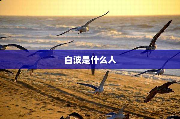 白波是什么人