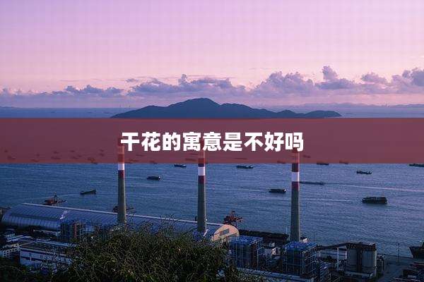 干花的寓意是不好吗